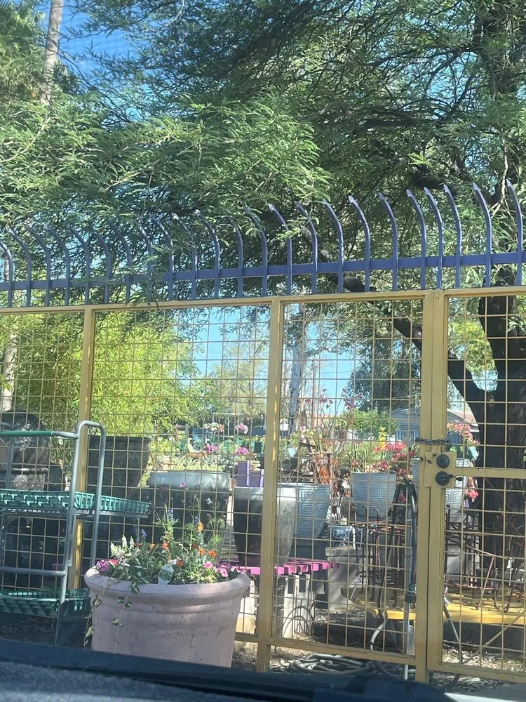 Professional residential landscaping in Tucson, AZ by Harlow Gardens