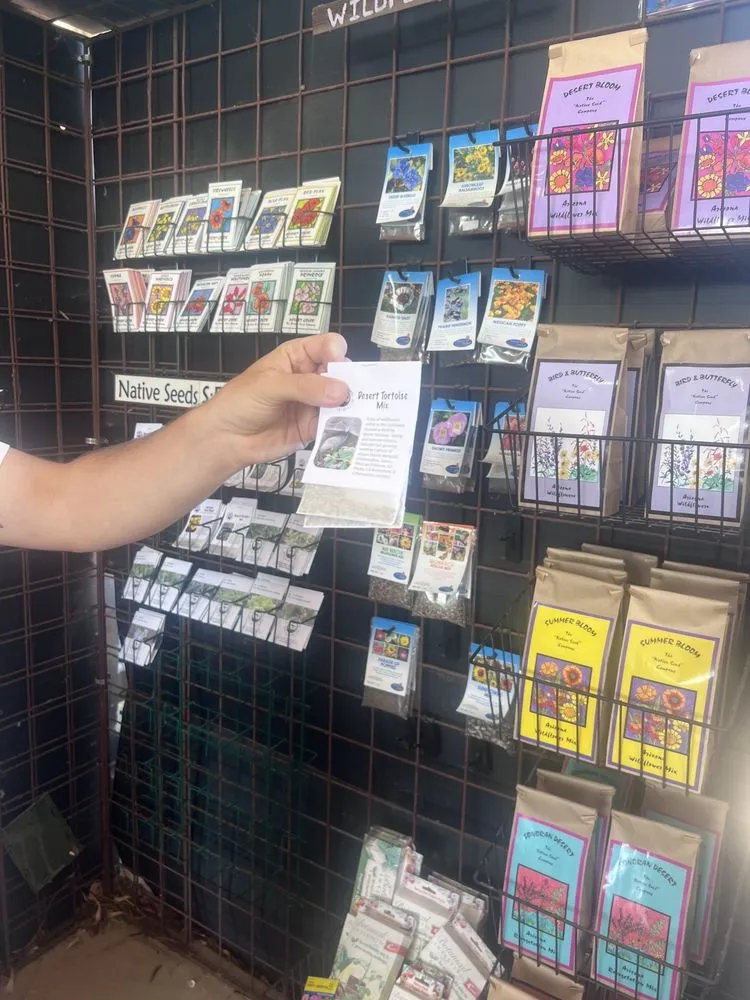 Affordable yard maintenance for outdoor upgrades in Tucson, AZ by Harlow Gardens