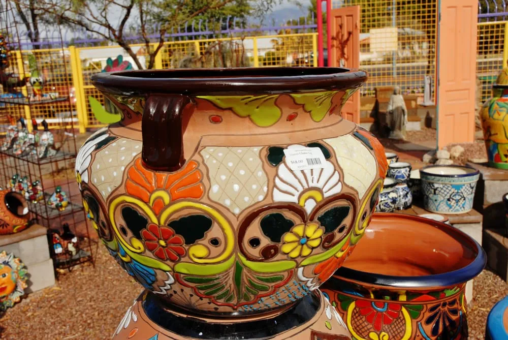 Reliable yard maintenance in Tucson, AZ - Harlow Gardens