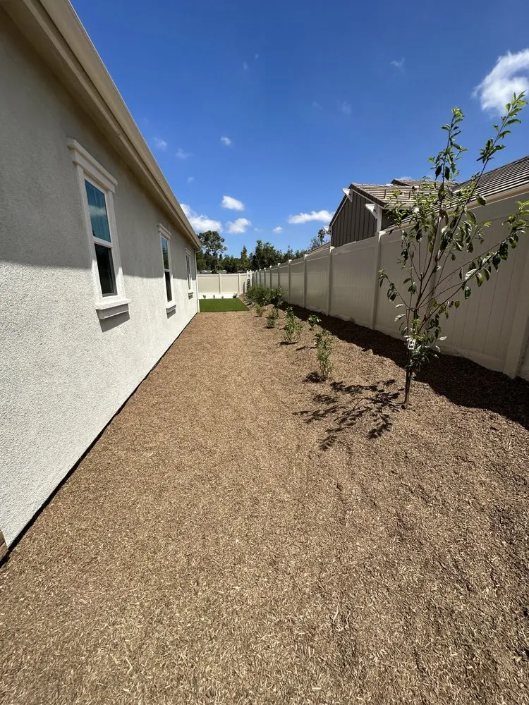 Top-rated yard maintenance for year-round maintenance in Carlsbad, CA by Harlow Landscape