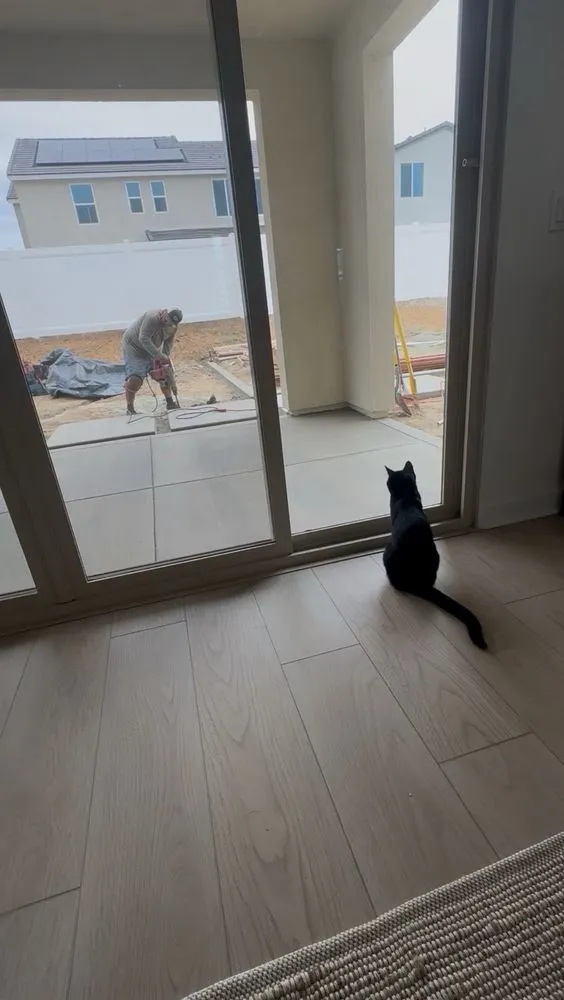 Professional outdoor landscaping experts serving Carlsbad, CA - Harlow Landscape