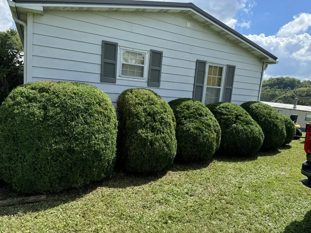 Trusted lawn care service in Tazewell, VA by Harman Lawn and Tree care