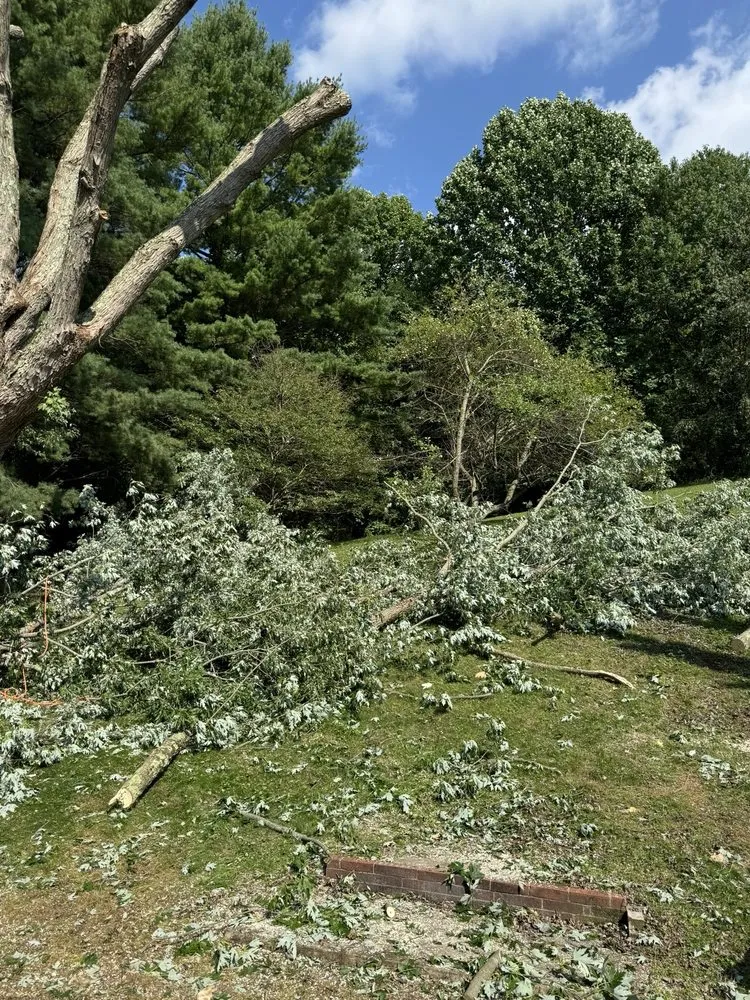 Local outdoor landscaping in Tazewell, VA - Harman Lawn and Tree care