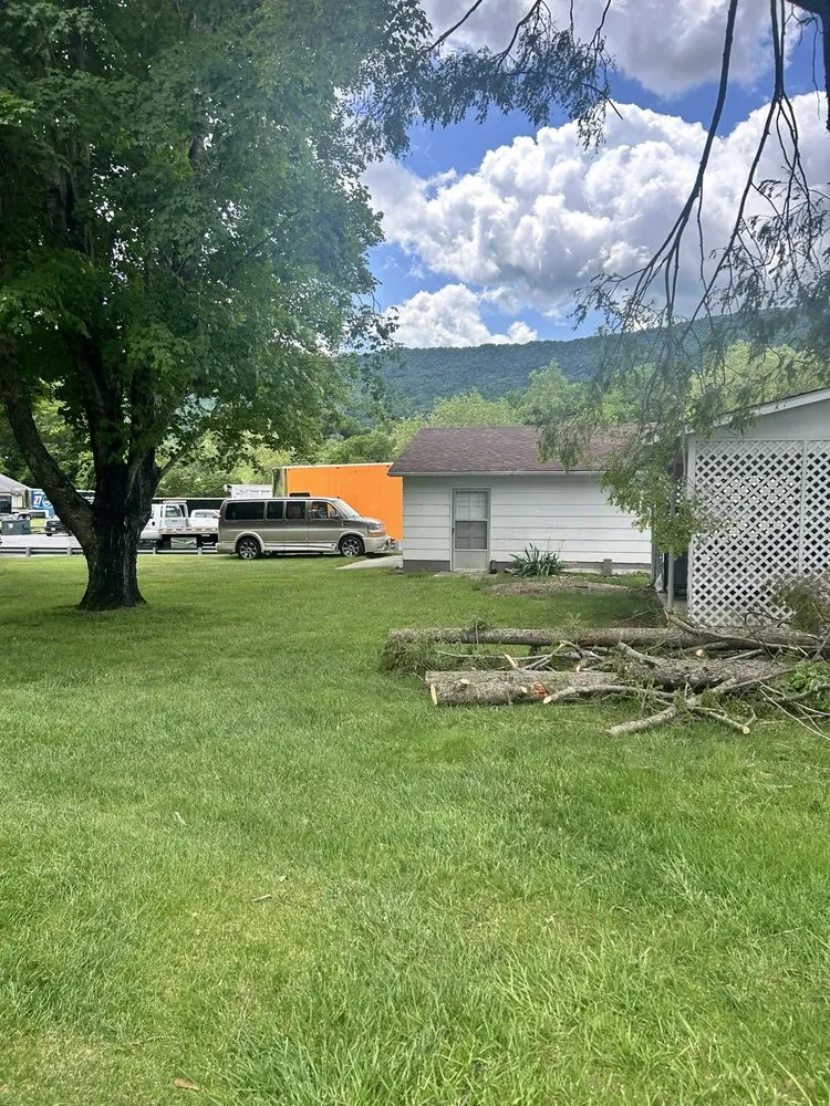 Expert lawn care service in Tazewell, VA - Harman Lawn and Tree care