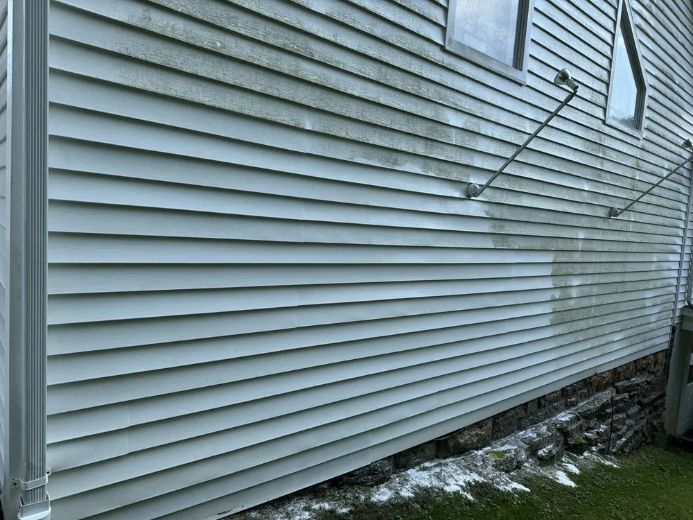 Affordable yard cleanup service experts serving Tazewell, VA - Harman Lawn and Tree care