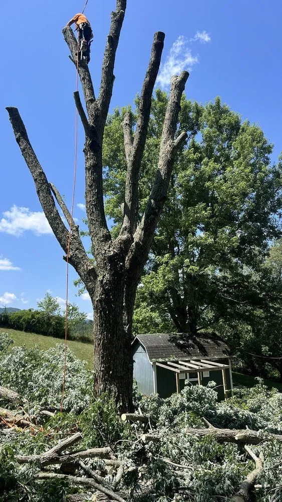 Custom landscaping services in Tazewell, VA by Harman Lawn and Tree care