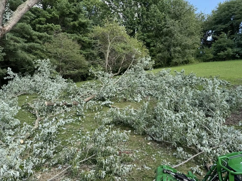 Custom landscape design in Tazewell, VA - Harman Lawn and Tree care