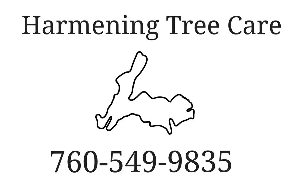 Trusted residential landscaping in Weldon, CA - Harmening Tree Care