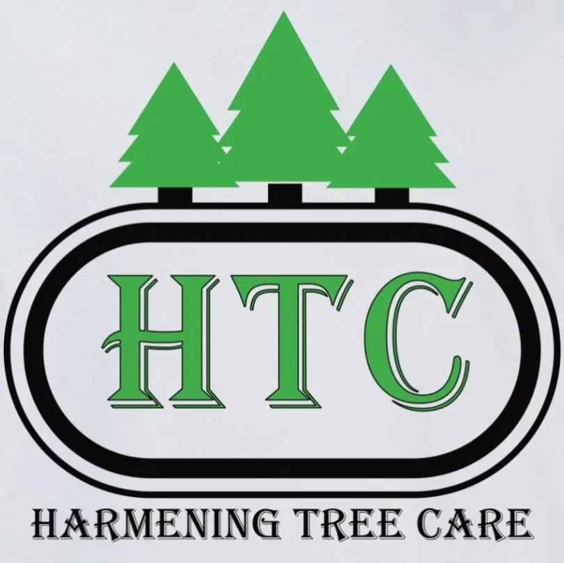 Professional residential landscaping for outdoor upgrades in Weldon, CA by Harmening Tree Care