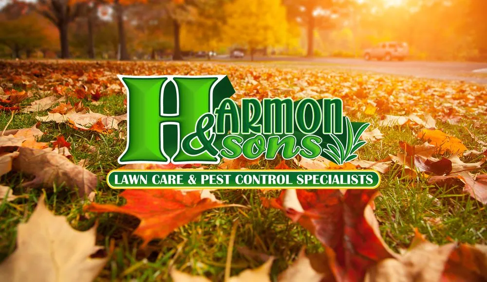 Professional lawn mowing service experts serving Layton, UT - Harmon & Sons