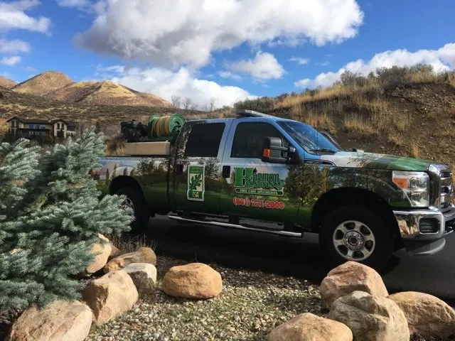 Professional yard cleanup service in Layton, UT - Harmon & Sons