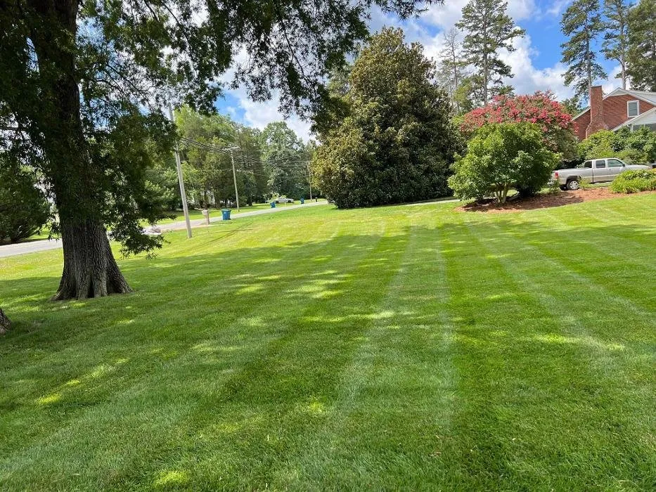 Affordable residential landscaping for beautiful yards in Trinity, NC by Harmon Landscape & Grading