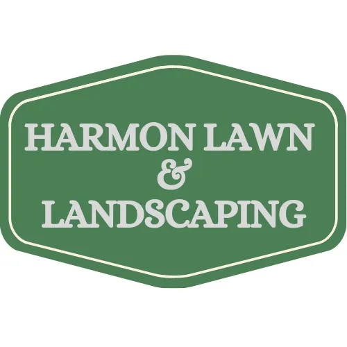 Top-rated yard cleanup service for year-round maintenance in McKinney, TX by Harmon Lawn & Landscaping