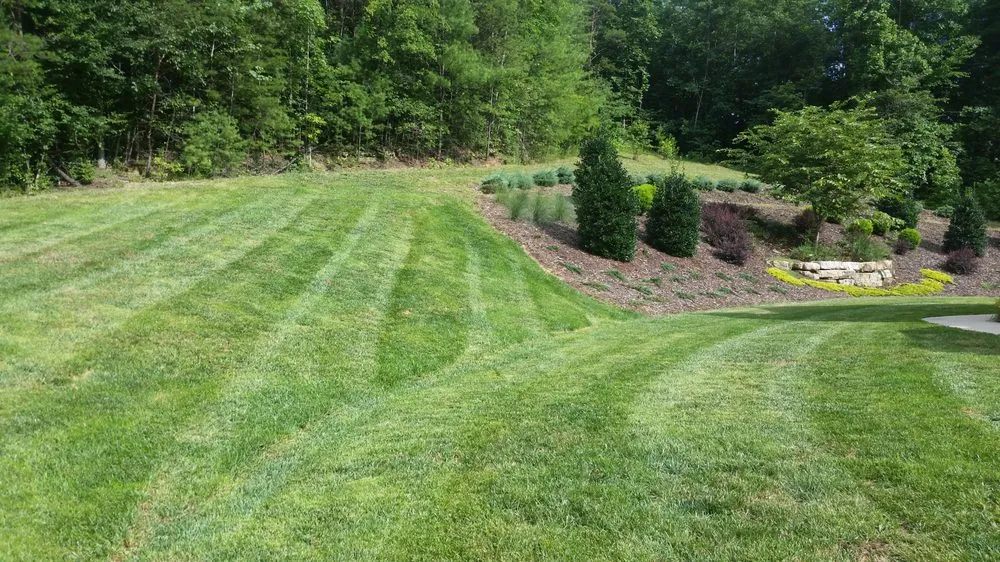 Professional yard cleanup service for residential properties across Morganton, NC - Harmon Lawn Care