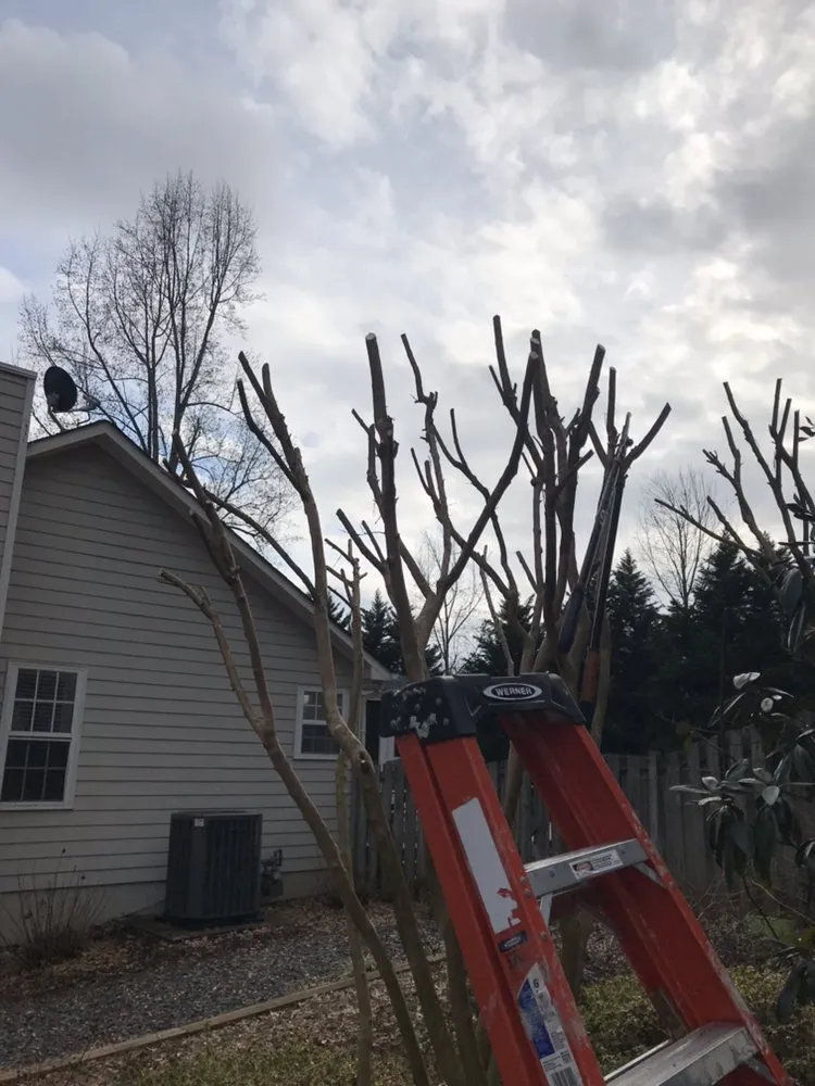 Expert lawn care service in Marietta, GA - Harmon Pressure Washing