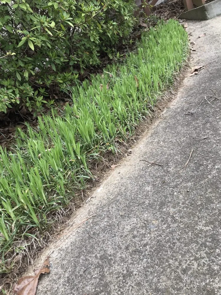 Custom landscaping services in Marietta, GA - Harmon Pressure Washing