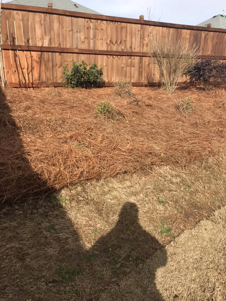 Local lawn care service for homes in Marietta, GA by Harmon Pressure Washing