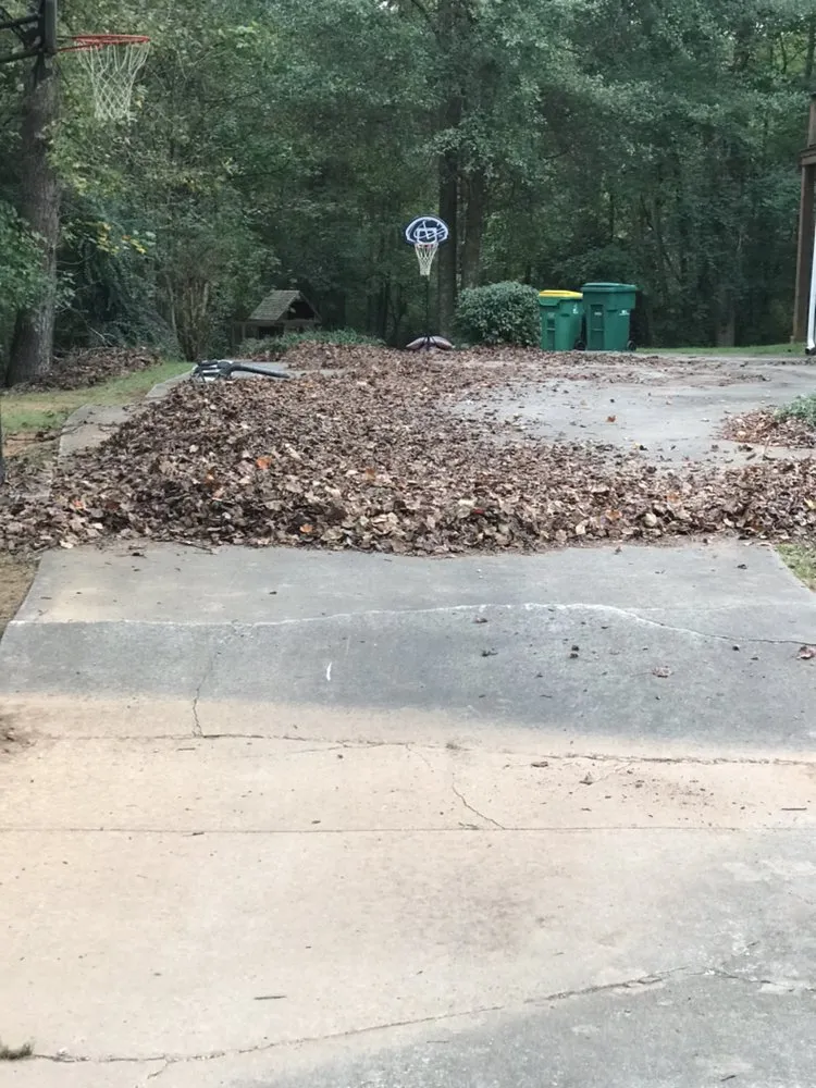 Local landscape installation for year-round maintenance in Marietta, GA by Harmon Pressure Washing