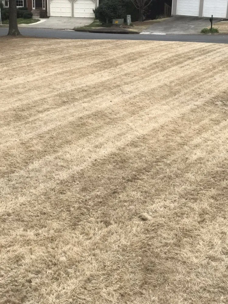 Reliable residential landscaping in Marietta, GA - Harmon Pressure Washing