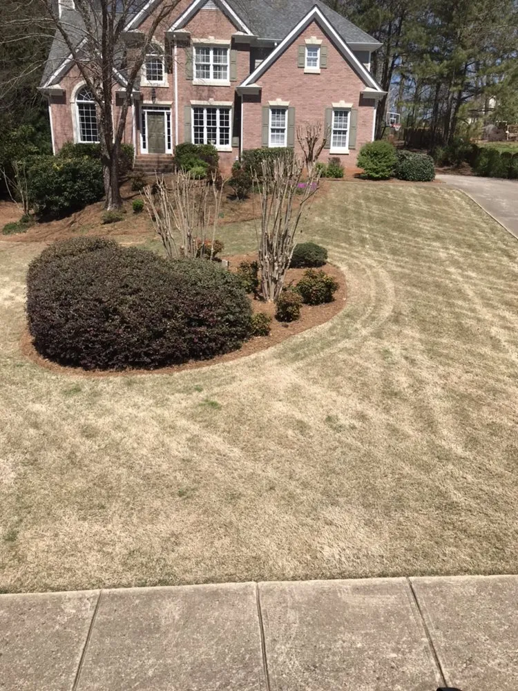 Professional yard cleanup service in Marietta, GA by Harmon Pressure Washing