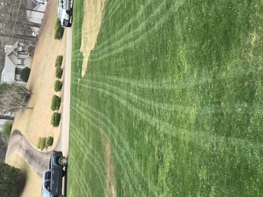 Expert yard maintenance in Marietta, GA by Harmon Pressure Washing