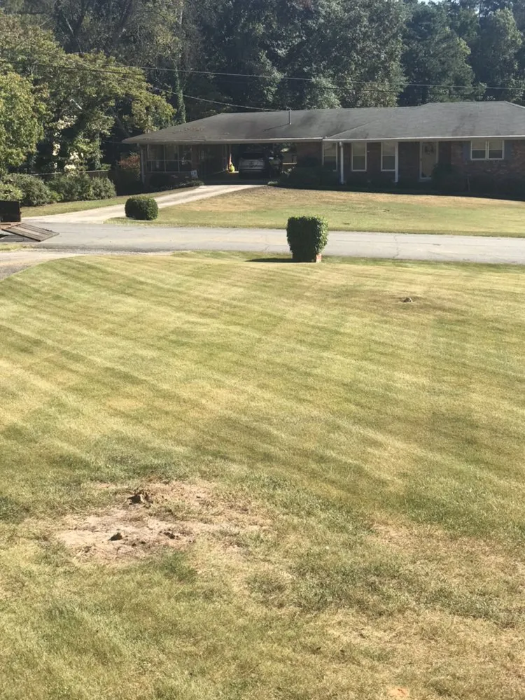 Local residential landscaping in Marietta, GA by Harmon Pressure Washing
