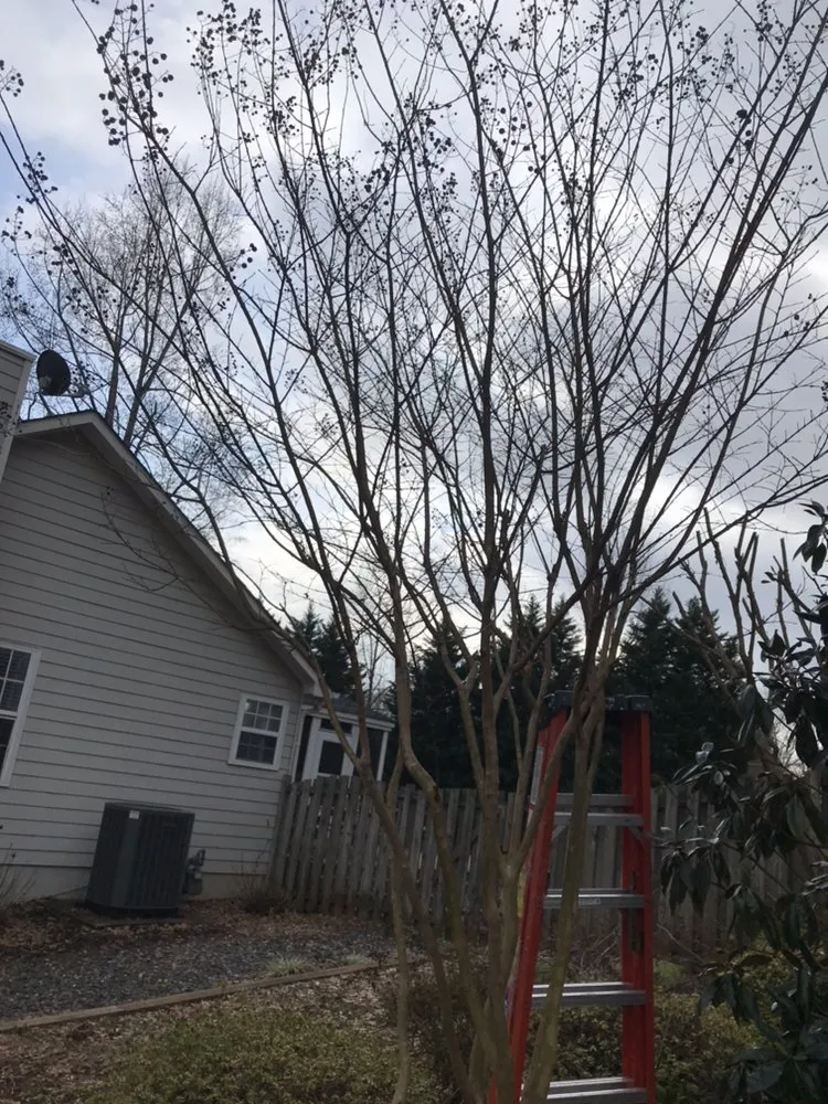 Professional landscape installation experts serving Marietta, GA - Harmon Pressure Washing