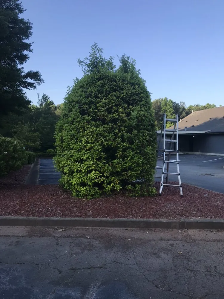 Affordable lawn mowing service for residential properties in Marietta, GA by Harmon Pressure Washing