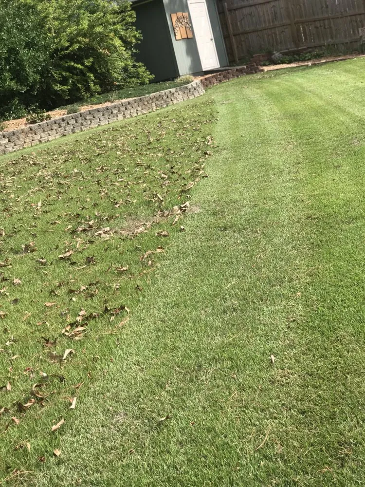 Trusted lawn care service in Marietta, GA - Harmon Pressure Washing