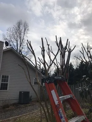 Harmon Pressure Washing Logo