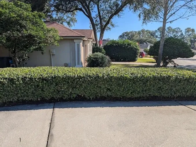Custom yard maintenance for homes in Jacksonville, FL by Harmoni Home Sevices