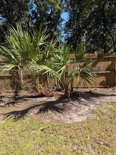 Expert outdoor landscaping for beautiful yards across Jacksonville, FL - Harmoni Home Sevices