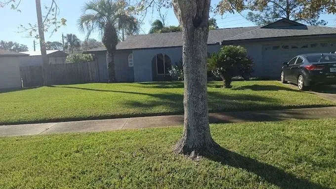 Affordable yard maintenance experts serving Jacksonville, FL - Harmoni Home Sevices