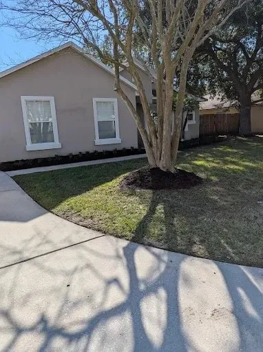 Top-rated residential landscaping for year-round maintenance across Jacksonville, FL - Harmoni Home Sevices