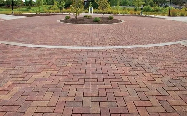 Professional yard maintenance in San Jose, CA by Harmonized Landscape