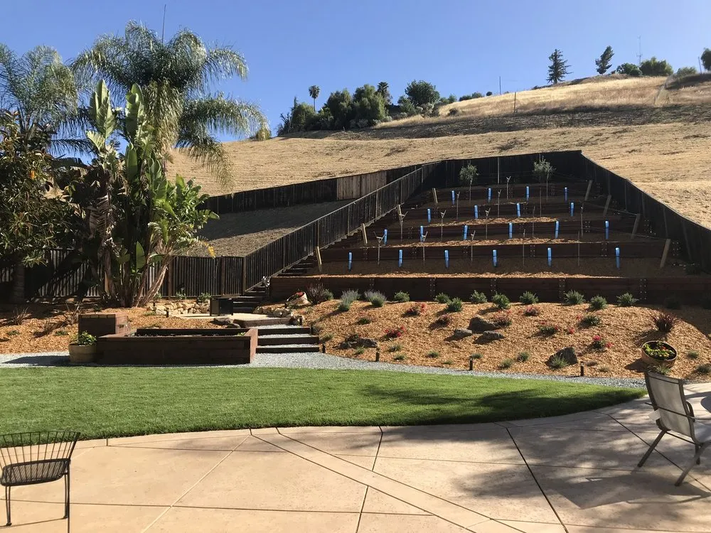 Professional lawn mowing service in San Jose, CA - Harmonized Landscape