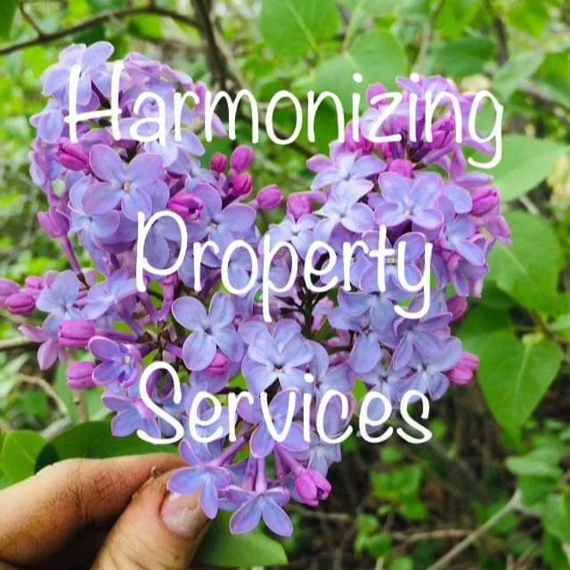 Expert landscaping services for year-round maintenance in Poland, ME by Harmonizing Property Services