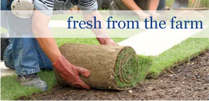 Professional garden landscaping in Bradenton, FL - Harmony Care