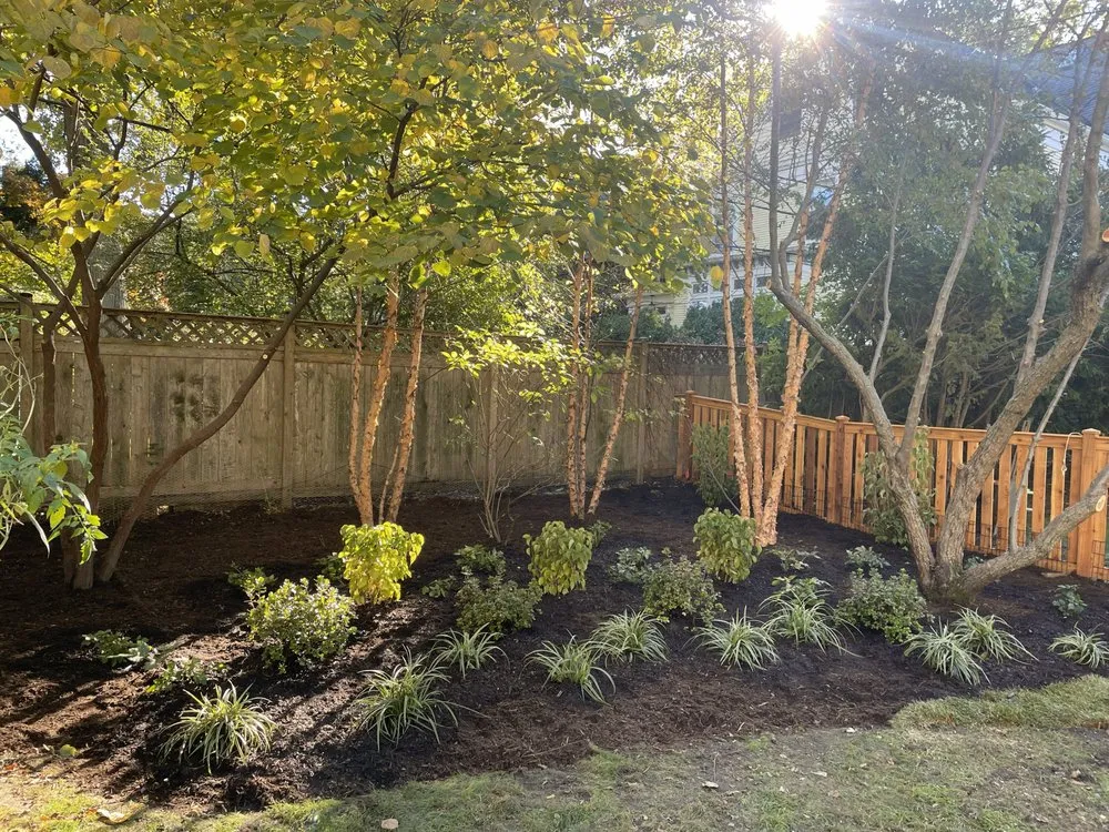 Professional landscaping services for beautiful yards across Evanston, IL - Harmony Circle Gardens