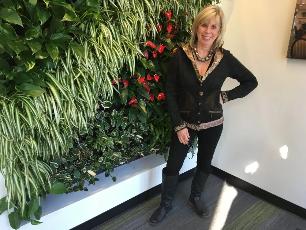 Trusted landscape installation experts serving Annapolis, MD - Harmony Gardens