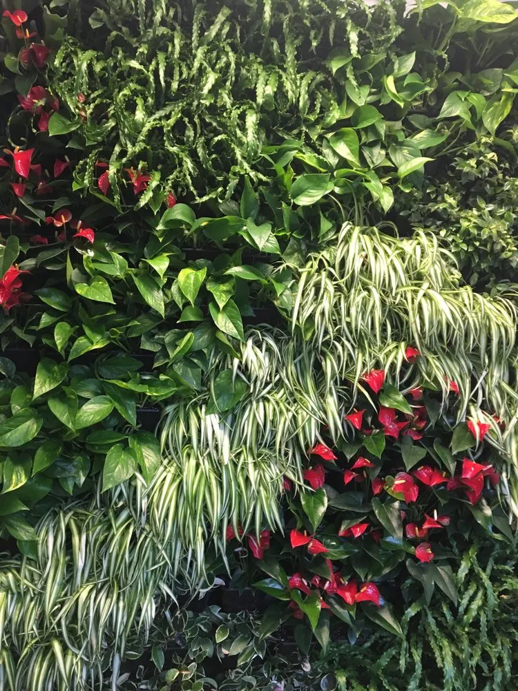 Professional residential landscaping experts serving Annapolis, MD - Harmony Gardens