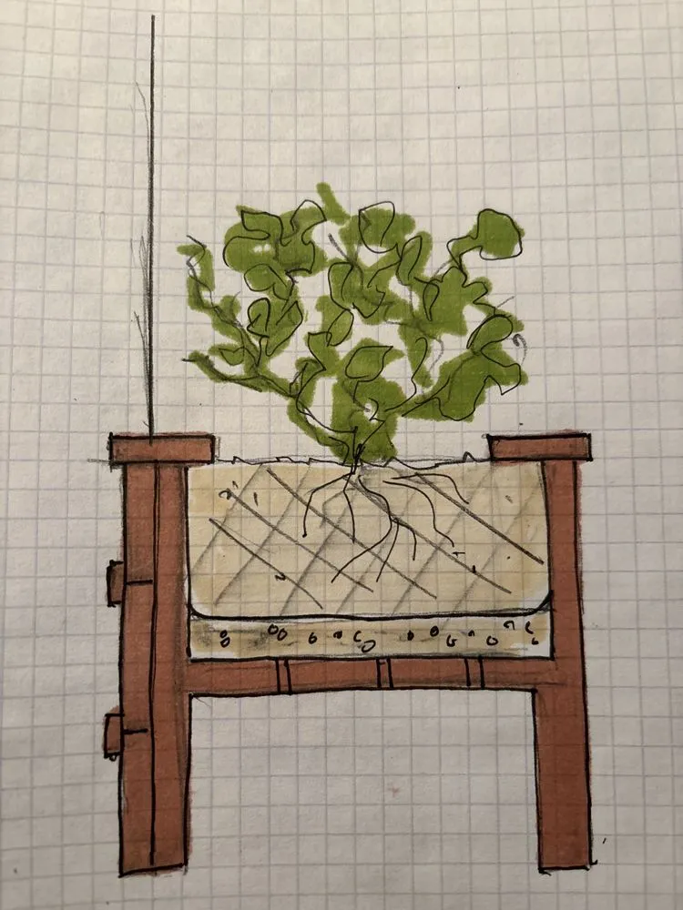 Reliable yard cleanup service in Annapolis, MD - Harmony Gardens