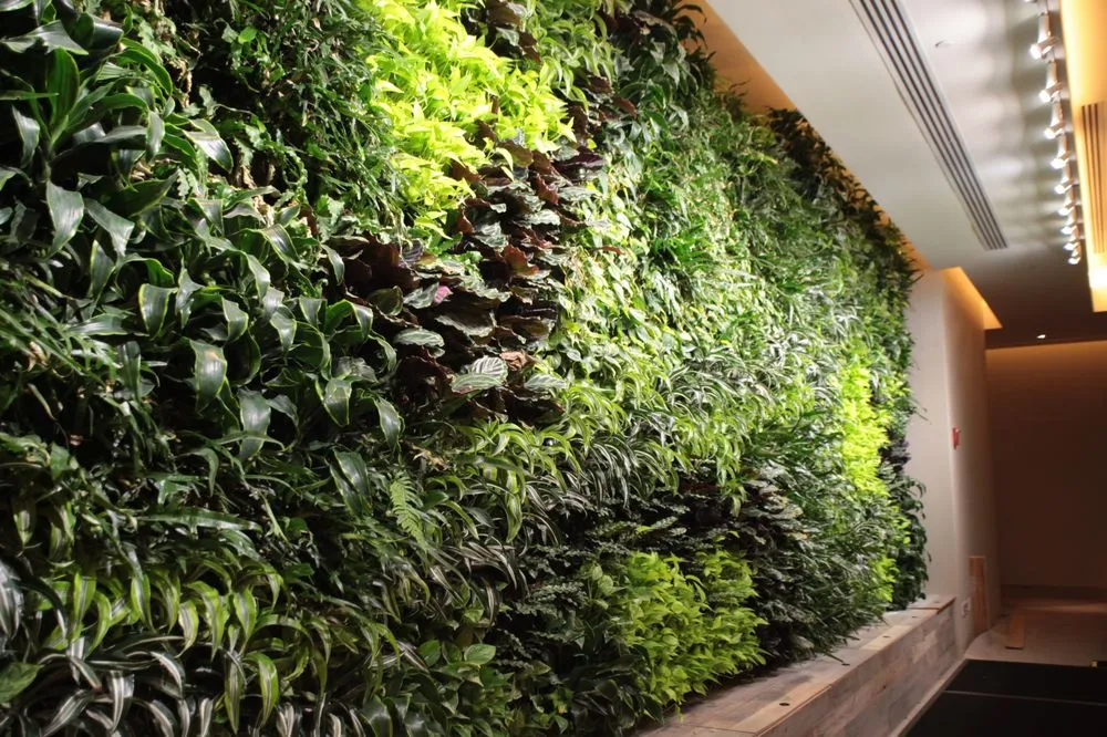 Local garden landscaping experts serving Annapolis, MD - Harmony Gardens