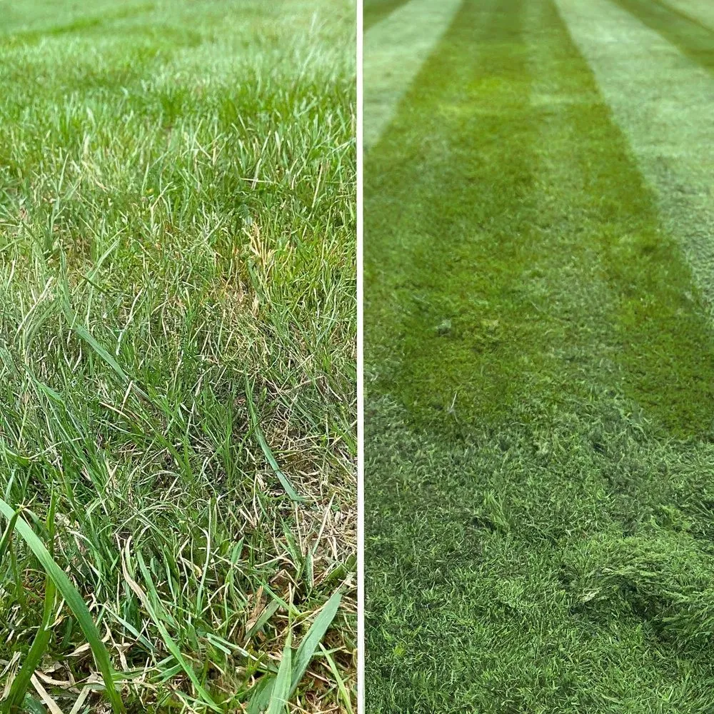 Expert residential landscaping in Goshen, IN by Harmony Hills Lawncare