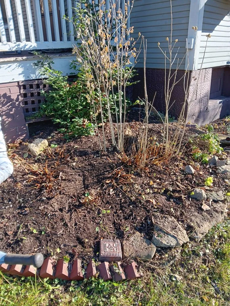 Professional lawn mowing service with custom design in Batavia, OH by Harmony Home Remedies