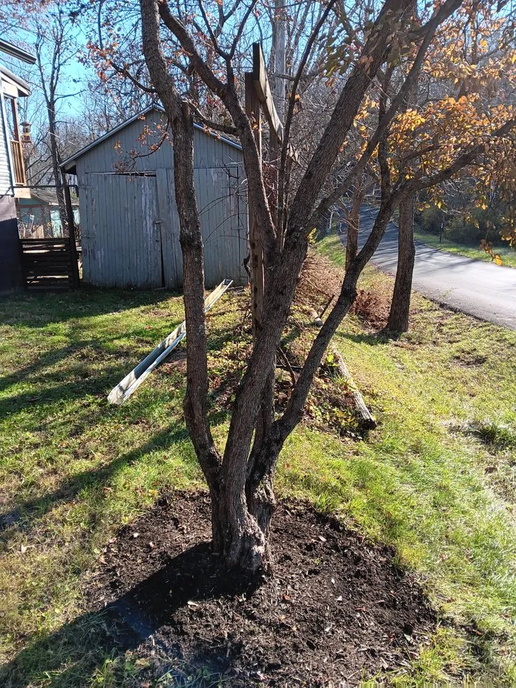 Trusted yard maintenance in Batavia, OH - Harmony Home Remedies