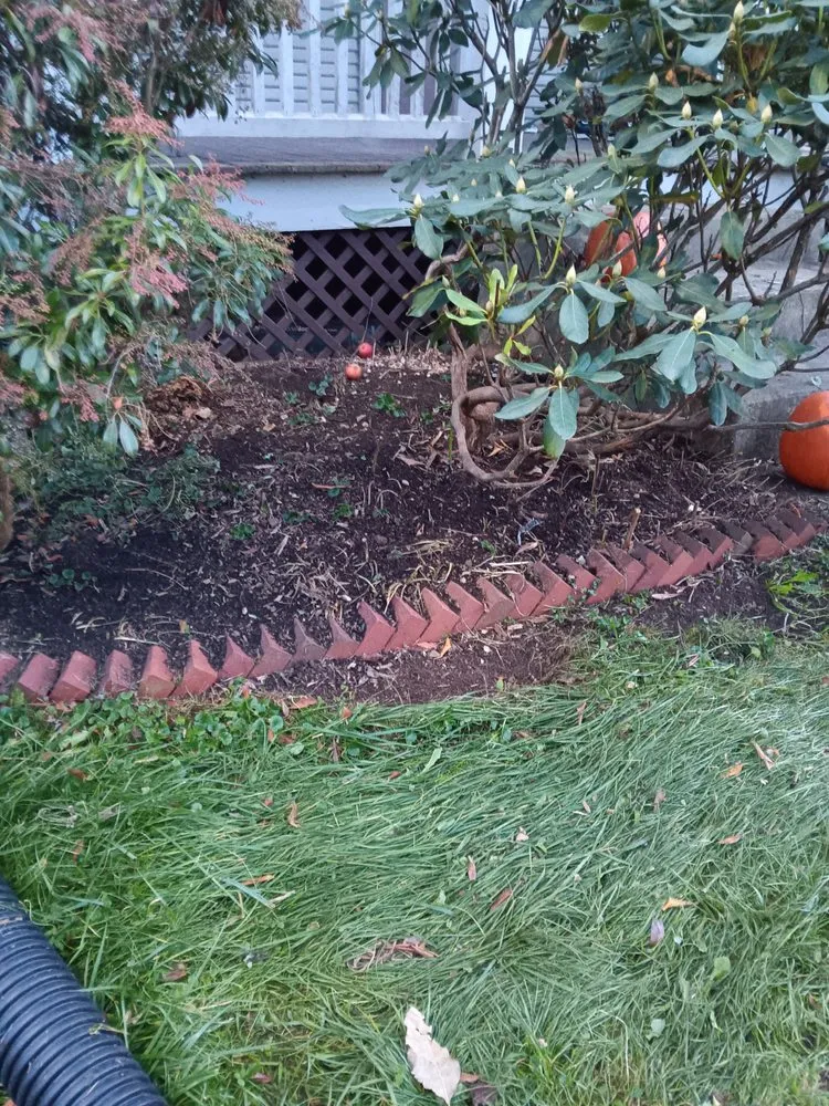 Professional lawn care service in Batavia, OH by Harmony Home Remedies