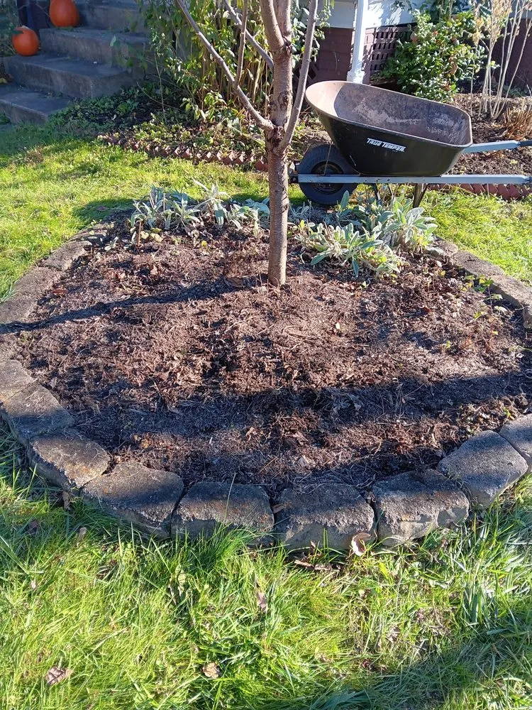 Top-rated landscaping services for year-round maintenance in Batavia, OH by Harmony Home Remedies