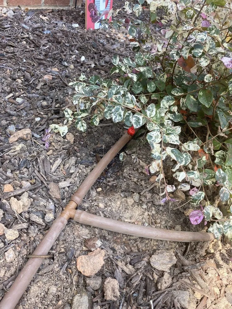 Local landscape design in Durham, NC - Harmony Irrigation & Landscaping