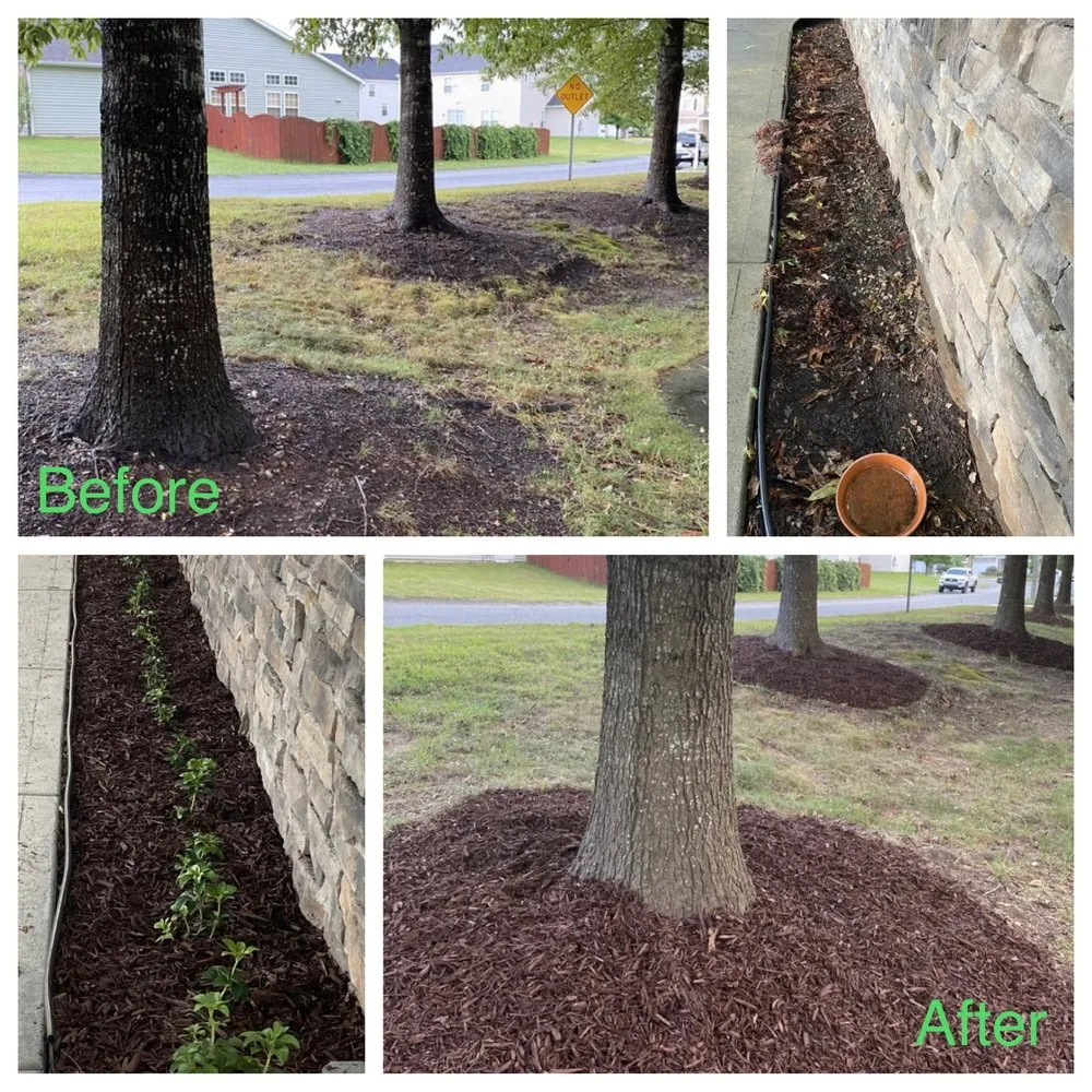 Professional yard maintenance in Durham, NC by Harmony Irrigation & Landscaping